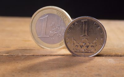 Dozrál čas na euro nebo raději s korunou na věčné časy?
